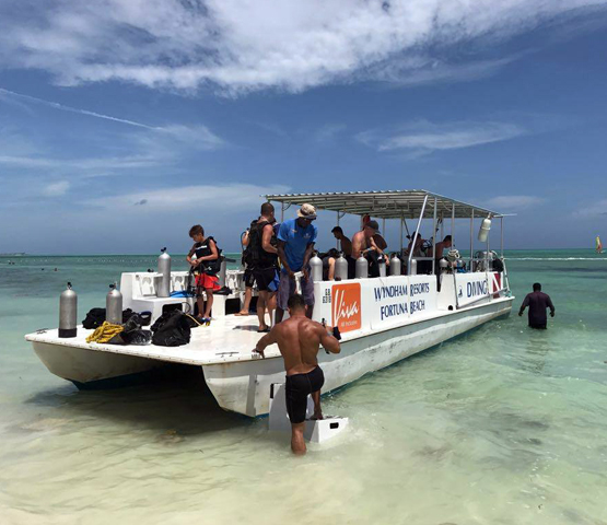 Viva Wyndham Fortuna Beach: PADI Open Water Diver-cursus met 7 overnachtingen al inclusief's photos